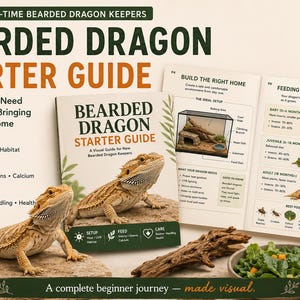 Puede incluir: Una guía visual de 16 páginas titulada Bearded Dragon Starter Guide, con texto e ilustraciones sobre hábitat, alimentación y cuidados. La guía se muestra junto a un dragón barbudo vivo, un cuenco de agua y un plato de verduras frescas.