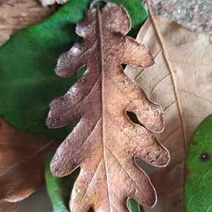 Botanical jewelry featuring real leaves covered in copper through electroforming. The beauty of nature made eternal by metal.