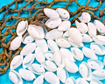Puede incluir: Primer plano de una colección de conchas blancas dispuestas sobre una red de cuerda marrón sobre un fondo azul. Las conchas son lisas y de forma ovalada, con un ligero brillo.