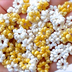 May include: A collection of small, white and yellow seashells arranged in a circular pattern. The shells are clustered together in a hand, creating a decorative and natural design.