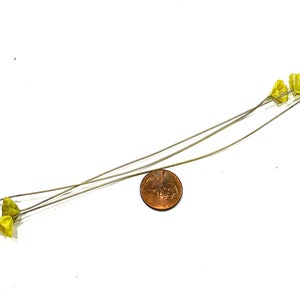 May include: Five yellow flower stems with wire stems. The stems are arranged in a fan shape and are about the size of a UK penny.