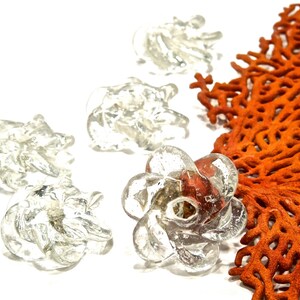Peut inclure: Quatre perles en verre transparent en forme de fleur avec des p&eacute;tales organiques tourbillonnants et un trou central, dispos&eacute;es pr&egrave;s d'un grand morceau de corail orange textur&eacute; en &eacute;ventail. Les perles pr&eacute;sentent une finition brillante et translucide.