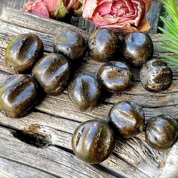 VINTAGE: 12pcs - Unique Rustic Black Sponge Coral Beads - Rare Beads