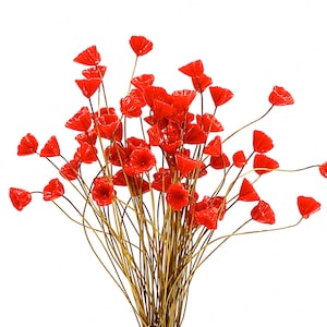 May include: A bunch of bright red poppy flowers with thin brown stems. The flowers are arranged in a loose bouquet.