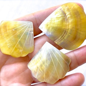 VINTAGE: 1970s - 3pcs Mother of Pearl Cabochons - Hand Carved - Flat Backs - MOP - Jewelry - Natural - Philippines - Unique Find
