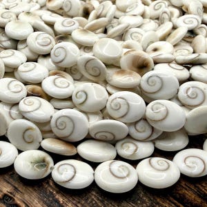 May include: A collection of white, oval-shaped shell beads with a spiral design in shades of brown. The beads are smooth and glossy, with a natural, organic appearance. The image shows a close-up view of the beads, filling the frame.