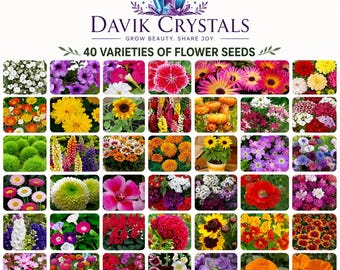 40 Varieties of Flower Seeds Mix for Home Garden | Colorful Blooming Flowers | Non GMO Garden Seeds Pack | Balcony & Outdoor Gardening Gift