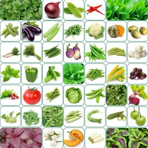 Può includere: Un assortimento colorato di verdure fresche, tra cui pomodori, peperoni, mais e verdure a foglia verde. L'immagine mostra una varietà di prodotti, come melanzane, fagioli e zucche, disposti in una griglia. Un'esposizione vibrante di opzioni alimentari sane.