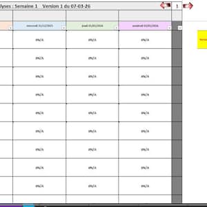 Peut inclure: Une feuille de calcul avec une grille de cellules, affichant des données et du texte. La première ligne contient des en-têtes de colonnes, dont "Semaine 1" et des dates. Les cellules contiennent du texte et des données numériques. Un tableau plus petit est à droite.