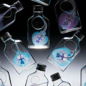 May include: Clear glass bottles with black caps, each containing a blue and purple abstract design. The bottles are arranged against a dark background, creating a visually striking pattern. The design inside the bottles resembles a heart shape.