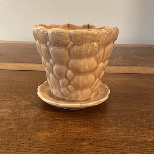 May include: A beige ceramic planter with a textured, bubble-like design. The planter sits on a matching saucer. The rim of the planter has a scalloped edge. The overall aesthetic is vintage and decorative.
