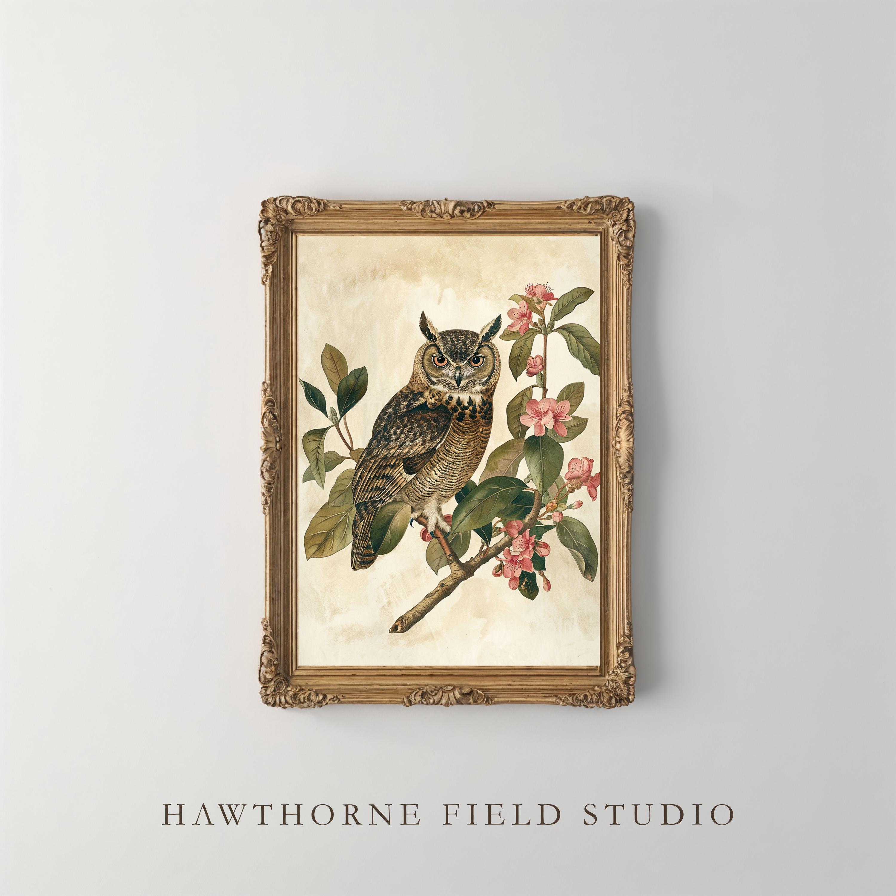 Vintage Owl Botanical Print &ndash; Hand-Colored Illustration, Cottagecore Wall Art (Digital Downloa
