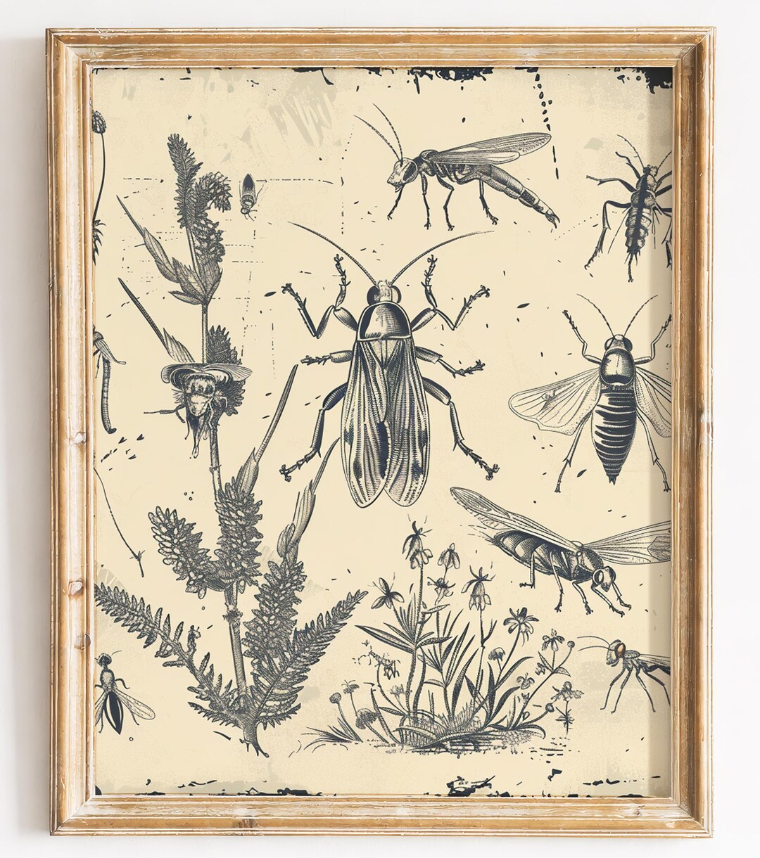 Rustic Insect Outline Vintage Insect & Wildflower Art Print - Rustic Farmhouse Wall Decor ...