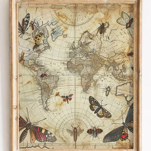 Puede incluir: Una impresión enmarcada de un mapa del mundo de estilo vintage, adornada con ilustraciones de varios insectos, incluyendo mariposas y escarabajos. El mapa presenta una representación detallada de continentes y océanos, con una paleta de colores cálidos y envejecidos.