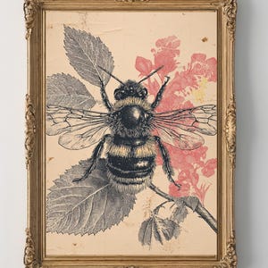 Vintage Bumblebee Natur Poster - Druck (Digitaler Download)