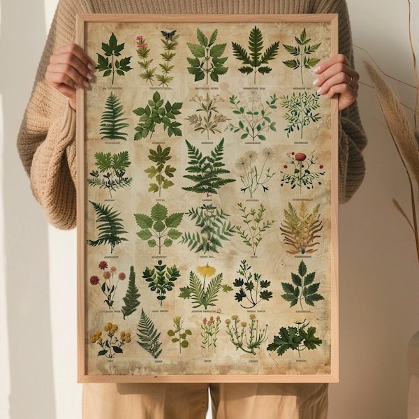 Vintage Botanical Print – Herbs, Ferns, Watercolor Natural History Decor (Digital Download)