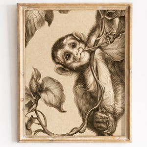 Op de afbeelding: Een ingelijste illustratie in sepia-tinten van een kleine aap die tussen bladerrijke ranken klimt. De aap heeft grote, expressieve ogen en grijpt met zijn hand een dunne tak vast. Het kunstwerk zit in een lichtgekleurde houten lijst met textuur.