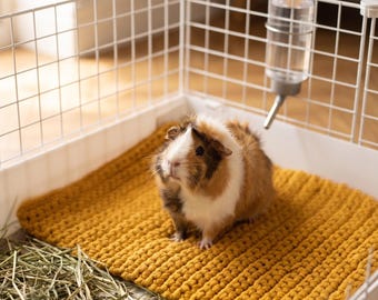 Guinea Pig Cage Liner, Crochet Cavy Accessories, Piggie Gift