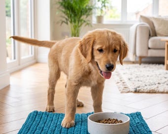 Alfombra de ganchillo color turquesa para mascotas, mantel individual hecho a mano para alimentar a perros y gatos, decoración bohemia para el hogar.