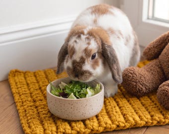 うさぎの鼻をくすぐるマット、うさぎの餌やりマット、かぎ針編みのペット用装飾品