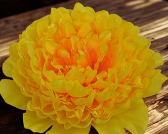 Puede incluir: Primer plano de una flor amarilla vibrante con un centro naranja brillante. Se ven los múltiples pétalos de la flor. Se encuentra sobre una superficie de madera, creando un contraste de texturas y colores. Los pétalos parecen suaves y delicados.