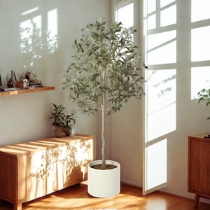 Puede incluir: Un olivo artificial en una maceta cil&iacute;ndrica blanca. El &aacute;rbol tiene un tronco delgado y est&aacute; lleno de hojas verdes y grises. La maceta est&aacute; sobre una alfombra clara, cerca de una ventana.