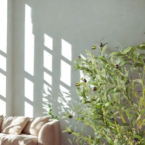 Puede incluir: Un olivo con hojas verdes y aceitunas oscuras. El &aacute;rbol est&aacute; en una habitaci&oacute;n luminosa con luz solar que entra por una ventana, proyectando sombras en la pared. Un sof&aacute; beige es visible en el fondo.