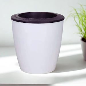 Pianta autoirrigante, vaso rotondo moderno - Vaso da scrivania bianco / Doppio serbatoio, piccola succulenta ed erba aromatica