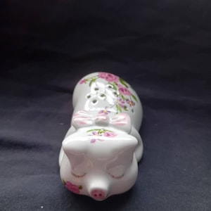Può includere: Un saliera a forma di maiale in ceramica bianca, con un fiocco rosa e decorazioni floreali. Il maiale ha gli occhi chiusi e un naso rosa. Il design floreale include fiori rosa e viola.