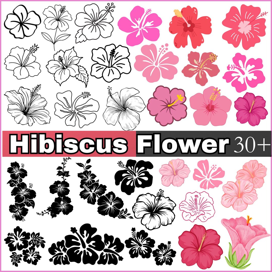 Hibiscus Flowers SVG Bundle, Tropical Floral Clipart, Hawaii Cut Files ...