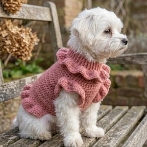 May include: A small white dog wearing a pink crochet sweater with ruffled trim sits on a wooden bench. The dog is facing right, with a soft, fluffy coat. The sweater is a solid pink colour.