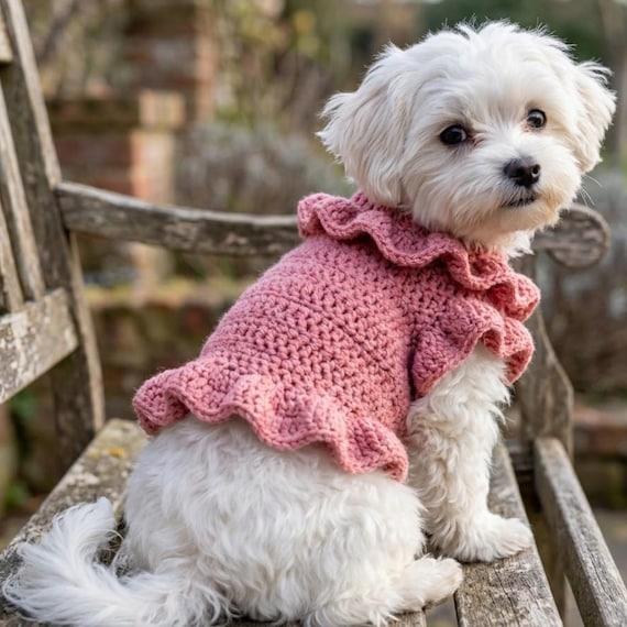 dog dress knitting pattern Ruffle Crochet Pet Sweater knitted dog pattern free