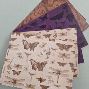 Mystical Autumn Note Card Set of (6)