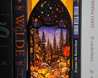 Starry Valley Window Light ~ Book Nook LED Light ~ Darke Academia Decor ~ Decorated Bookshelf ~ Gothic Home Decore ~ Reading Nook Decor