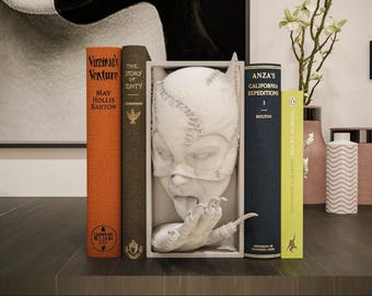 Catwoman Book Nook | DC Comics Bust Bookshelf Insert | Gothic Shelf Decor | Comics Collector Gift | Dark Academia Bookend | Batman figures