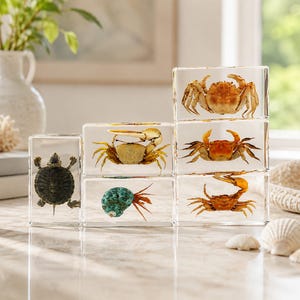 Puede incluir: Una colección de bloques de resina transparente, cada uno encapsulando una criatura marina preservada. La colección incluye cangrejos, una tortuga y un caracol de mar. Los bloques están apilados sobre una superficie de mármol.