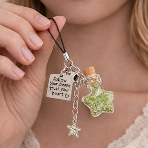 Pode incluir: Um pingente de garrafa de vidro transparente em forma de estrela, preenchido com contas verdes, preso a uma corrente de prata com um pequeno pingente quadrado que diz "follow your dreams trust your heart". Um pequeno pingente de prata em forma de estrela também está preso.