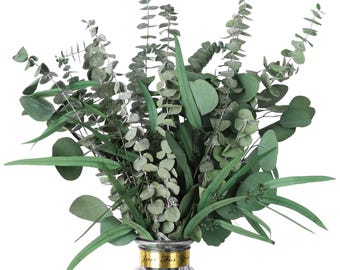 Tallos de eucalipto secos – Paquete de follaje natural