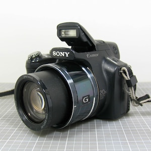 Sony Cybershot DSC-HX1 9.1 MP 20x Optical Zoom Compact Digital Camera