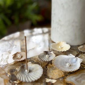 May include: Seashell incense holders, each featuring a faux pearl. The shells are displayed on a decorative stone surface. A white ceramic vase is in the background. These holders offer a natural, coastal aesthetic for home decor.