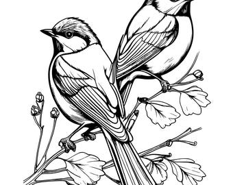 Fågelmålarbok | Natur och djurliv konstsidor (PDF-nedladdning)
