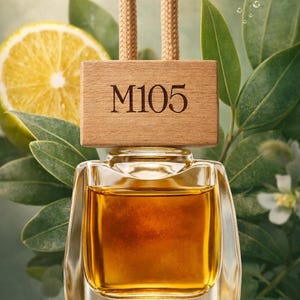 Handmade Car Air Freshener Hanging Rearview Mirror – Natural Essential Oil Diffuser – Bergamot Eucalyptus – Car Gift – Made in France