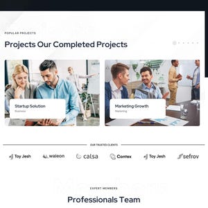May include: A website screenshot showcasing business services. The top section displays statistics: 199+ successful projects, 300+ media activities, 622+ skilled experts, and 120+ happy clients. Below, it highlights completed projects and client logos.
