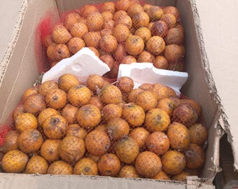 Frischer Cotonou Agbalumo/Udara/Udala/Alasa/Agwaluma/Sternapfel