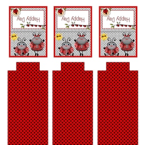 Digital Printable Hershey Nugget Wrapper and Tray Set - Spring -
