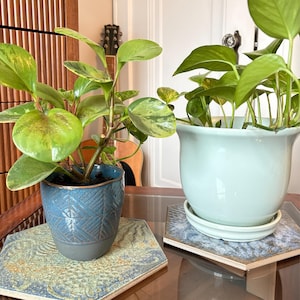 May include: Two potted plants, one in a blue textured pot and the other in a light blue pot, sit on decorative hexagonal coasters. The plants have green leaves. A guitar is visible in the background.