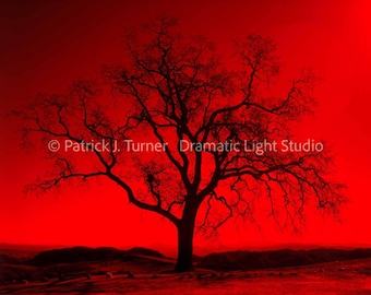 Purpurroter Baum: Digital Art/ Fotografie Minimal Landschaft