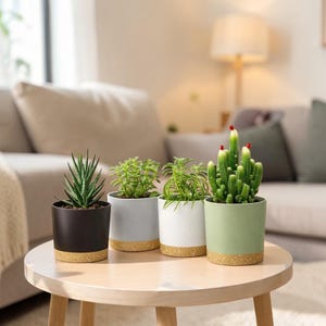 May include: Four potted plants on a round wooden table. The pots are black, gray, white, and green, each with a tan base. The plants include a succulent, two leafy plants, and a cactus with red tips. The background shows a sofa and lamp.