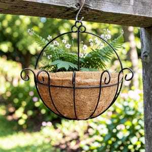 May include: A hanging black metal planter with a round shape, filled with greenery and small white flowers. The planter has a brown coconut fiber liner and is suspended from a wooden beam by a metal hook. The background is a blurred view of a garden.
