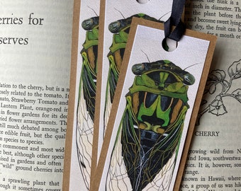 Handmade Bookmark - Original Painting By Amanda Nutzman - Naturalist Gift - Small Gift - Insect Art - Book Lover - Cicada -